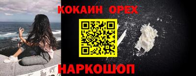 крисы Пенза
