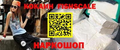 крисы Пенза