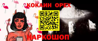 крисы Пенза