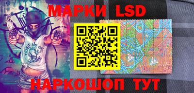 крисы Пенза