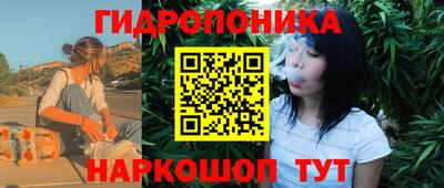 крисы Пенза