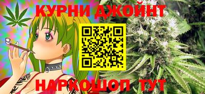 крисы Пенза