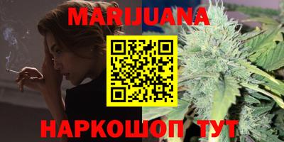 крисы Пенза