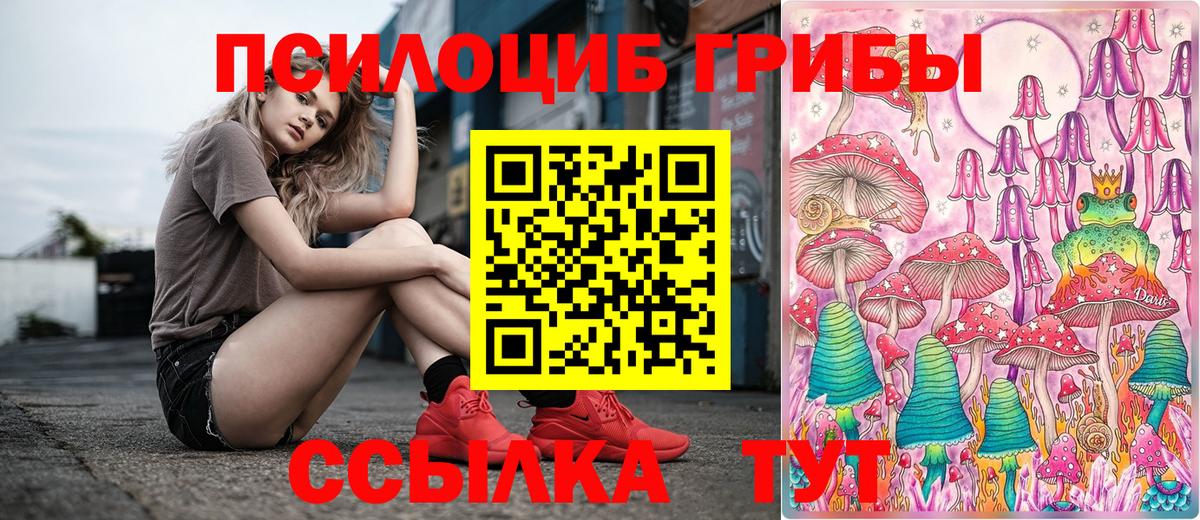 Псилоцибиновые грибы Psilocybine cubensis  Вход с VPN  Галлюциногенные грибы Psilocybe  Углич 